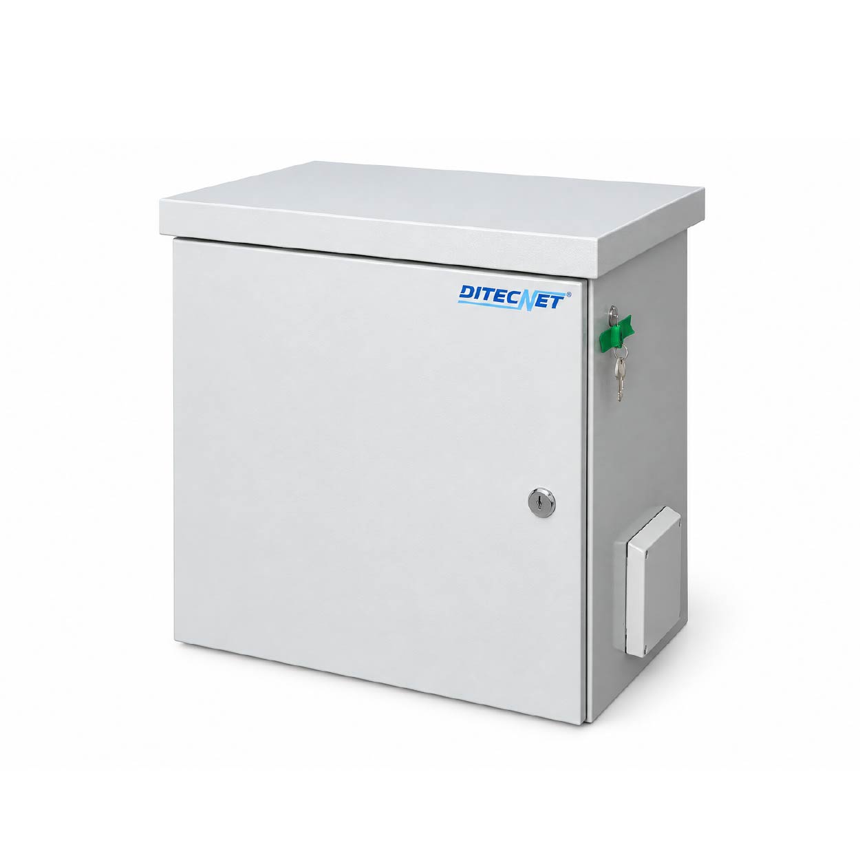Armoire Murale Extérieure IP55 DITECNET 19 - 12U